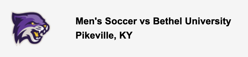 Men's Soccer vs Bethel University